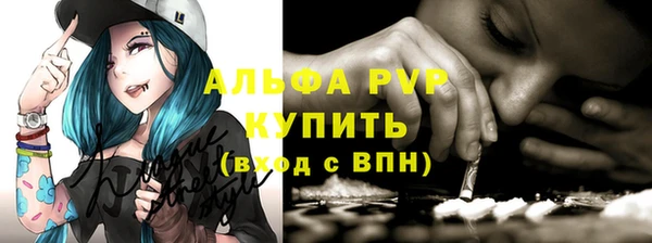 твердый Магас