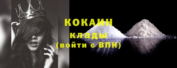 твердый Магас