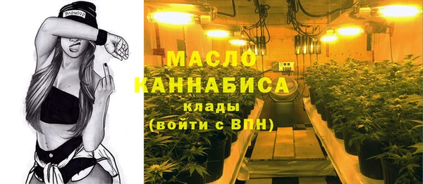 твердый Магас