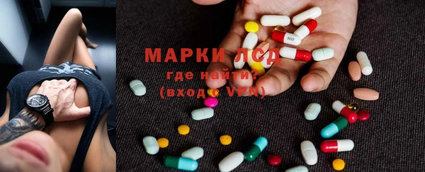 твердый Магас
