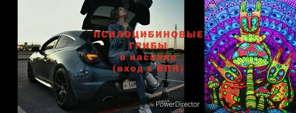 твердый Магас