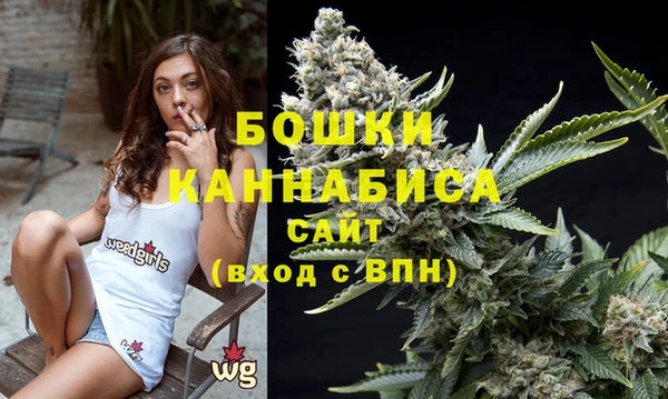 твердый Магас